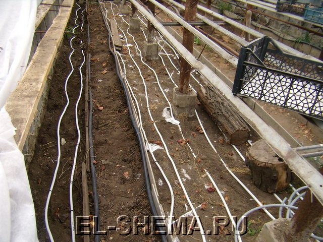 Быстрые способы прогреть землю на грядке в теплице для теплолюбивых овощей