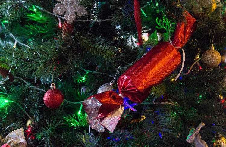 Как украсить елку на новый 2022 год: 180 фото, как красиво нарядить новогоднюю елочку