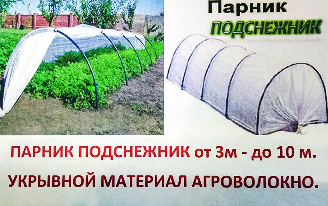 Какие отзывы собирает теплица из поликарбоната капелька. описание и характеристики конструкции