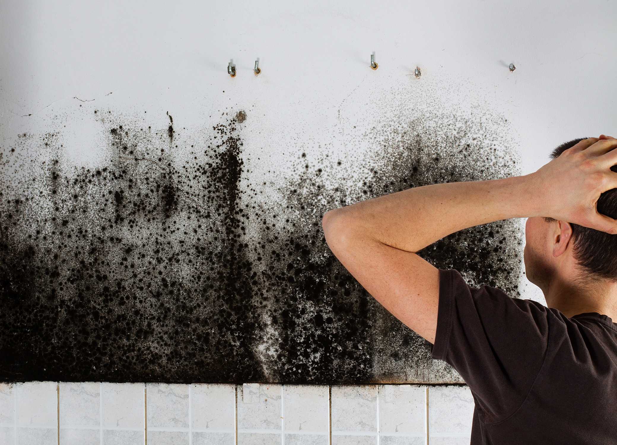 Как избавиться от запаха сырости в комнате: причины возникновения, как удалить в частном доме и квартире