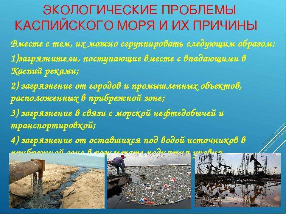Причины природных проблем. Проблемы Каспийского моря. Экологические проблемы. Причины загрязнения Каспийского моря. Море и проблемы экологии.