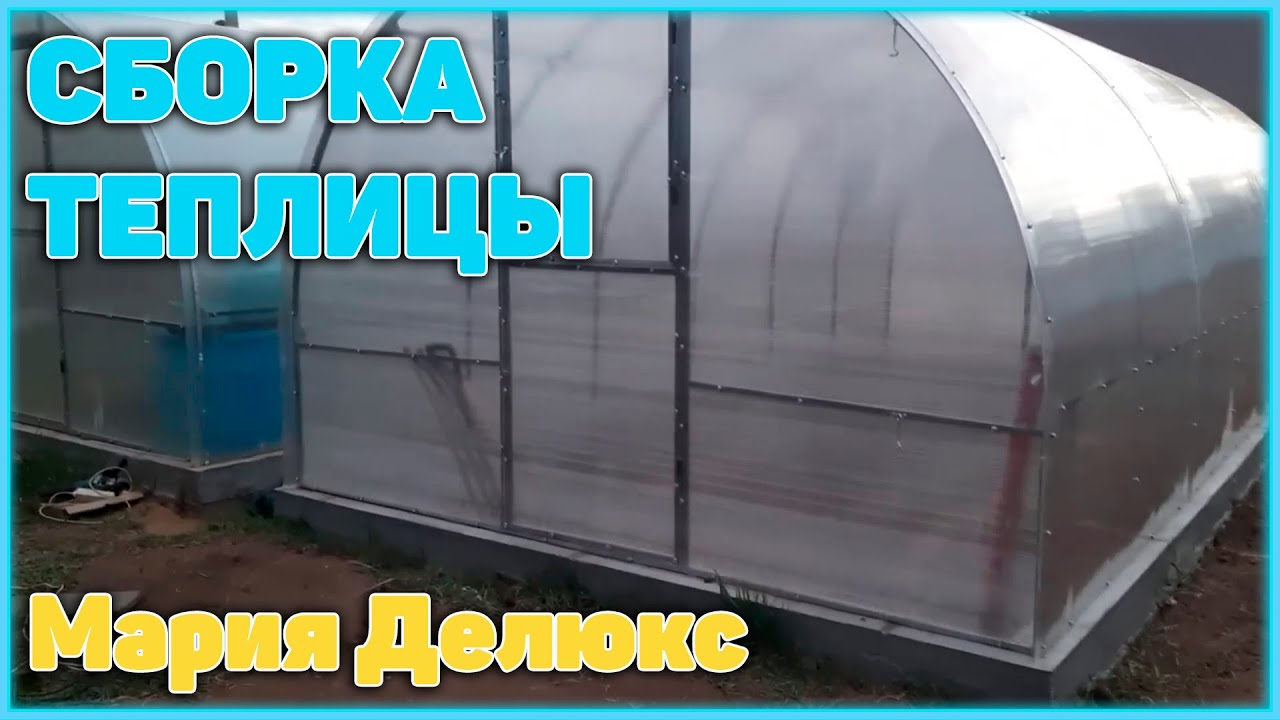 Теплица «мария» и «мария делюкс». схемы сборки