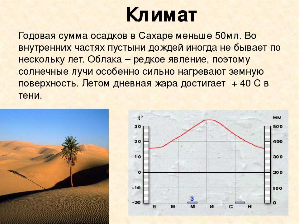 Насколько климат. Климат Сахары. Пустыня сахара осадки. Климатограмма пустыни и полупустыни. Климатическая диаграмма Сахары.