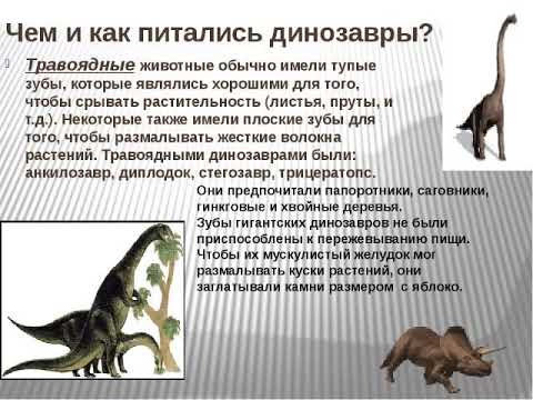 Интересные факты о динозаврах: топ-10