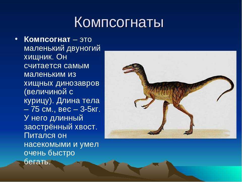 Динозавры: сколько лет жили, откуда взялись, как размножались, как вымерли