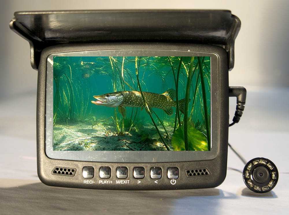 Купить Подводную Камеру На Авито В Пскове