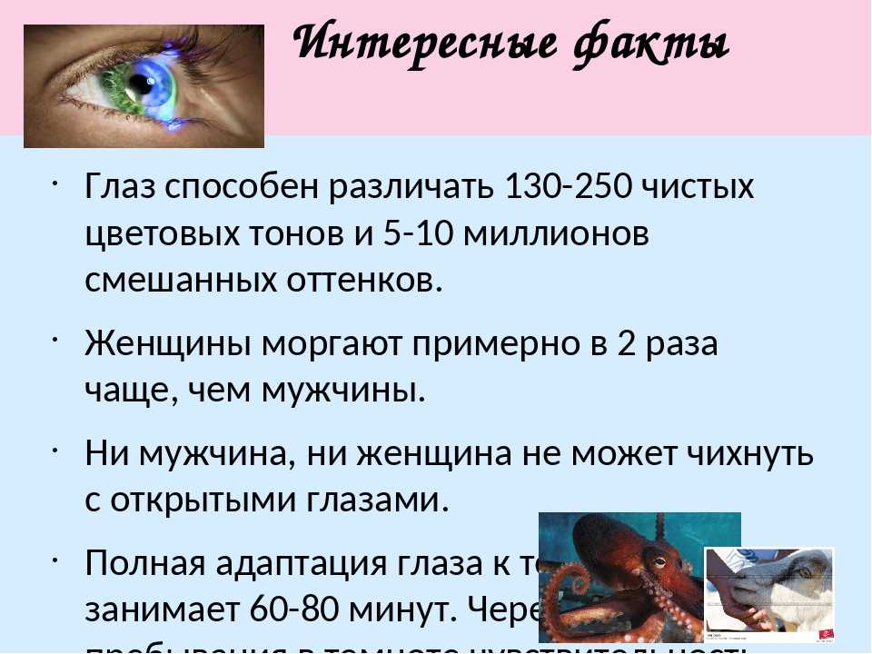 В сша найдены животные с «тремя глазами». кто это? - hi-news.ru