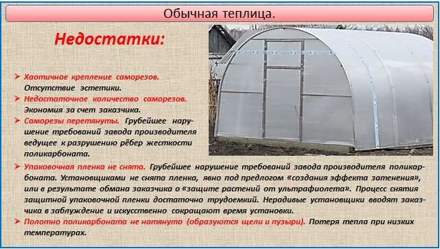 Теплица апельсин