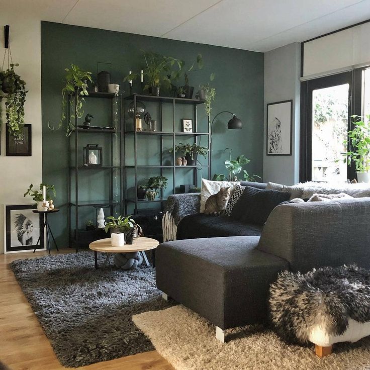 Краска dulux classic colour отзывы