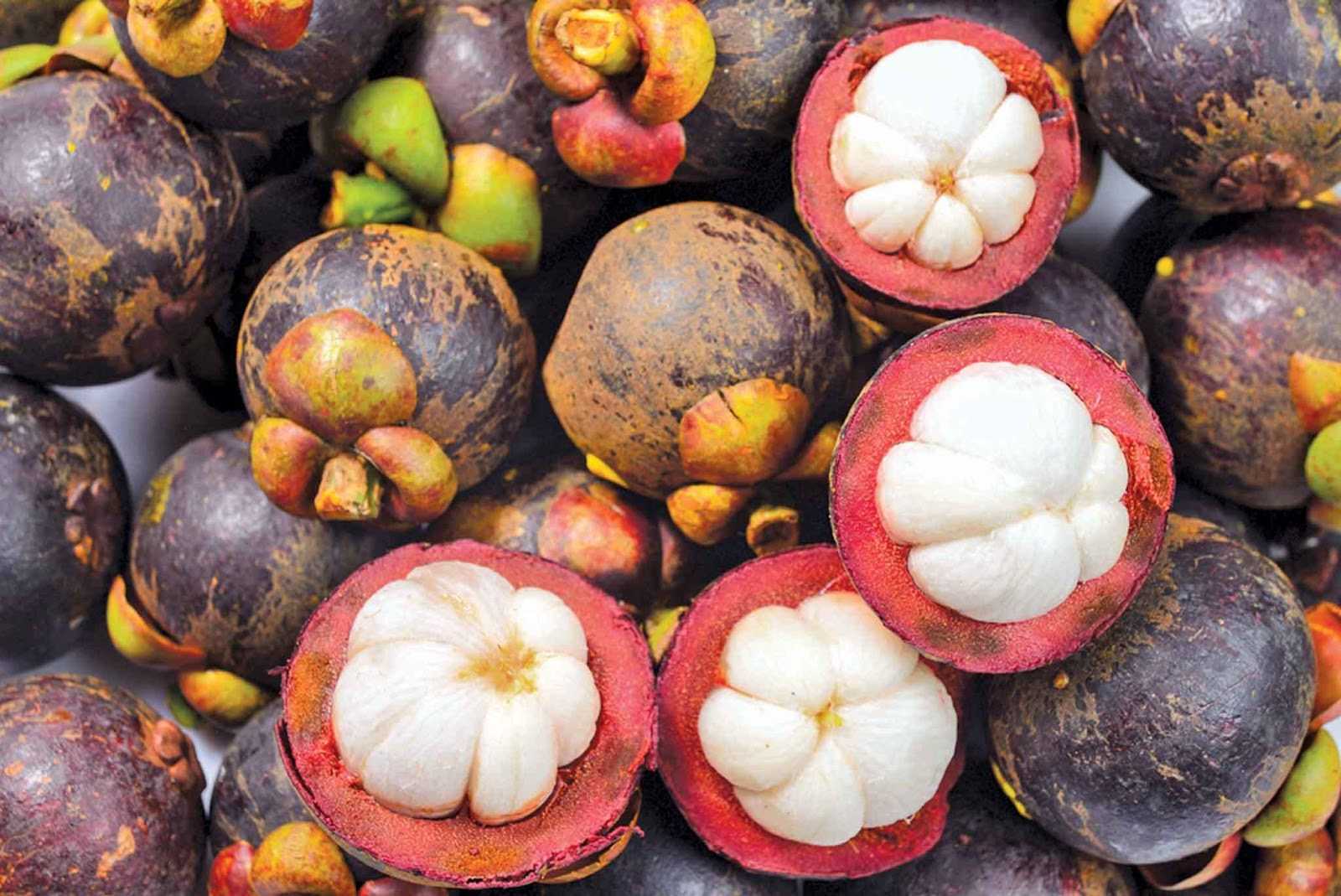 Экзотические фрукты вьетнама и их названия