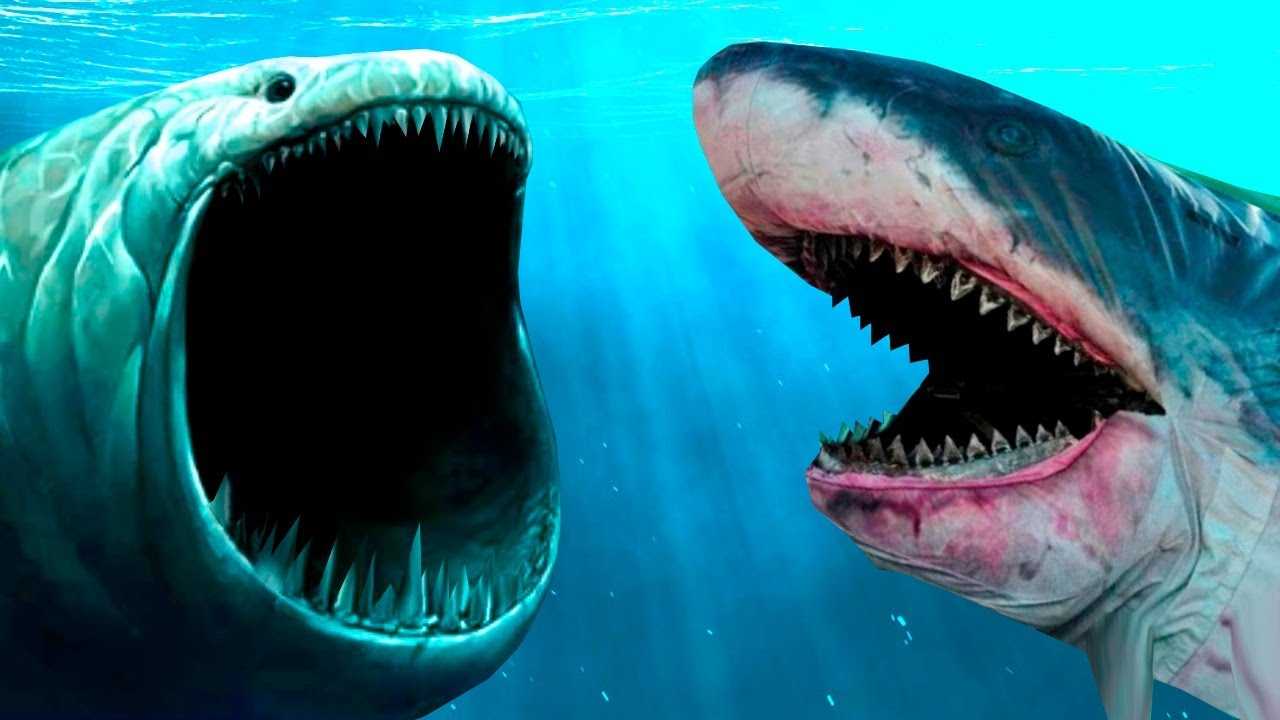 Гигантская вымершая акула мегалодон