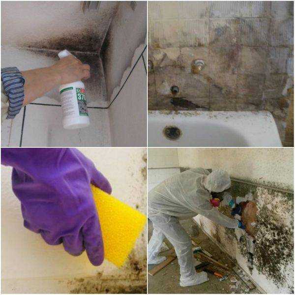 Как избавиться от запаха плесени в доме - советы специалистов / vantazer.ru – информационный портал о ремонте, отделке и обустройстве ванных комнат