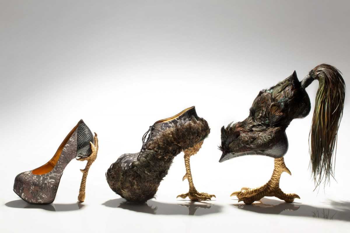 Женские туфли в мире