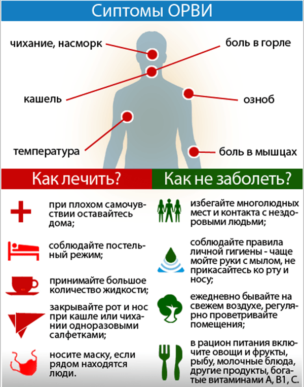 Вирусы