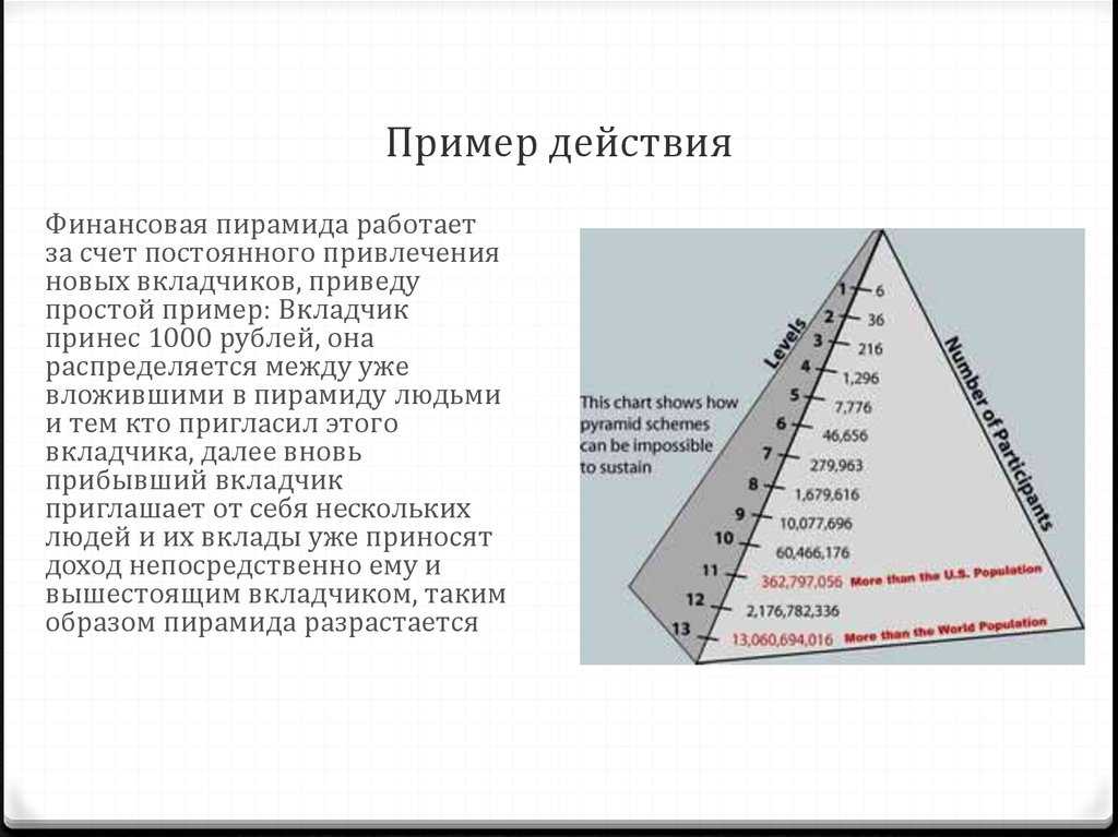 В каком из утверждений содержится отличие финансовых пирамид от реального бизнес проекта