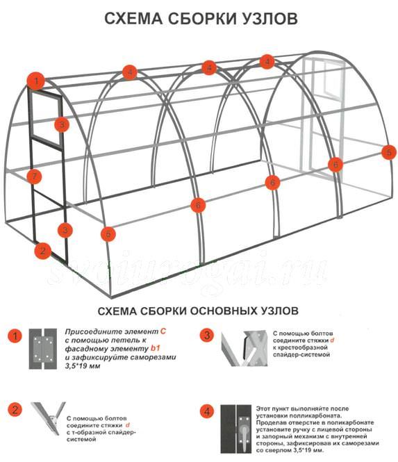 Теплица «киновская». инструкция по монтажу