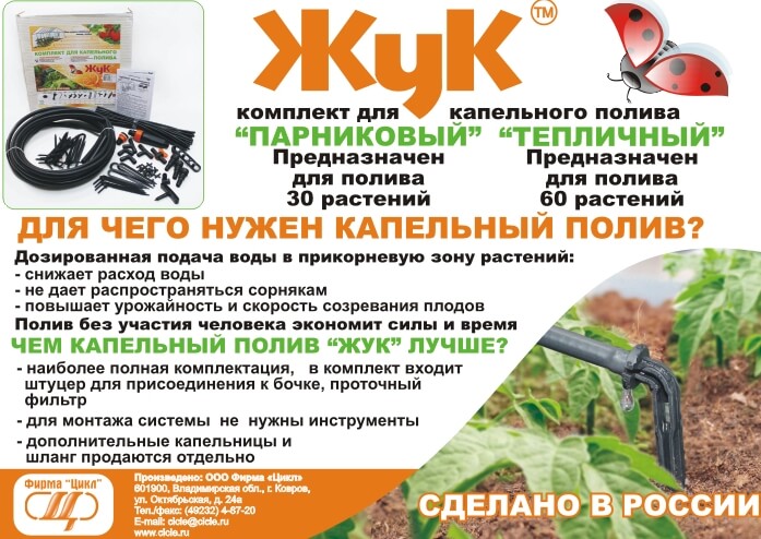 Сопровождаемое трудоустройство инвалидов в россии
