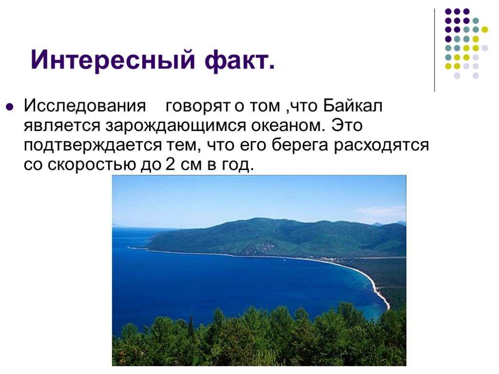 Озеро байкал – интересные факты: глубина, особые черты, происхождение и протяженность крупнейшего водоема | tvercult.ru