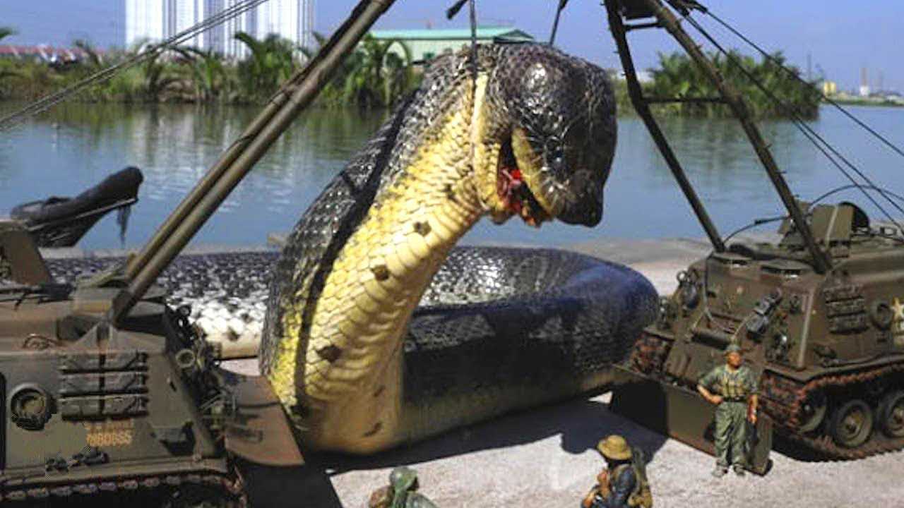 Топ-10 самых опасных змей мира