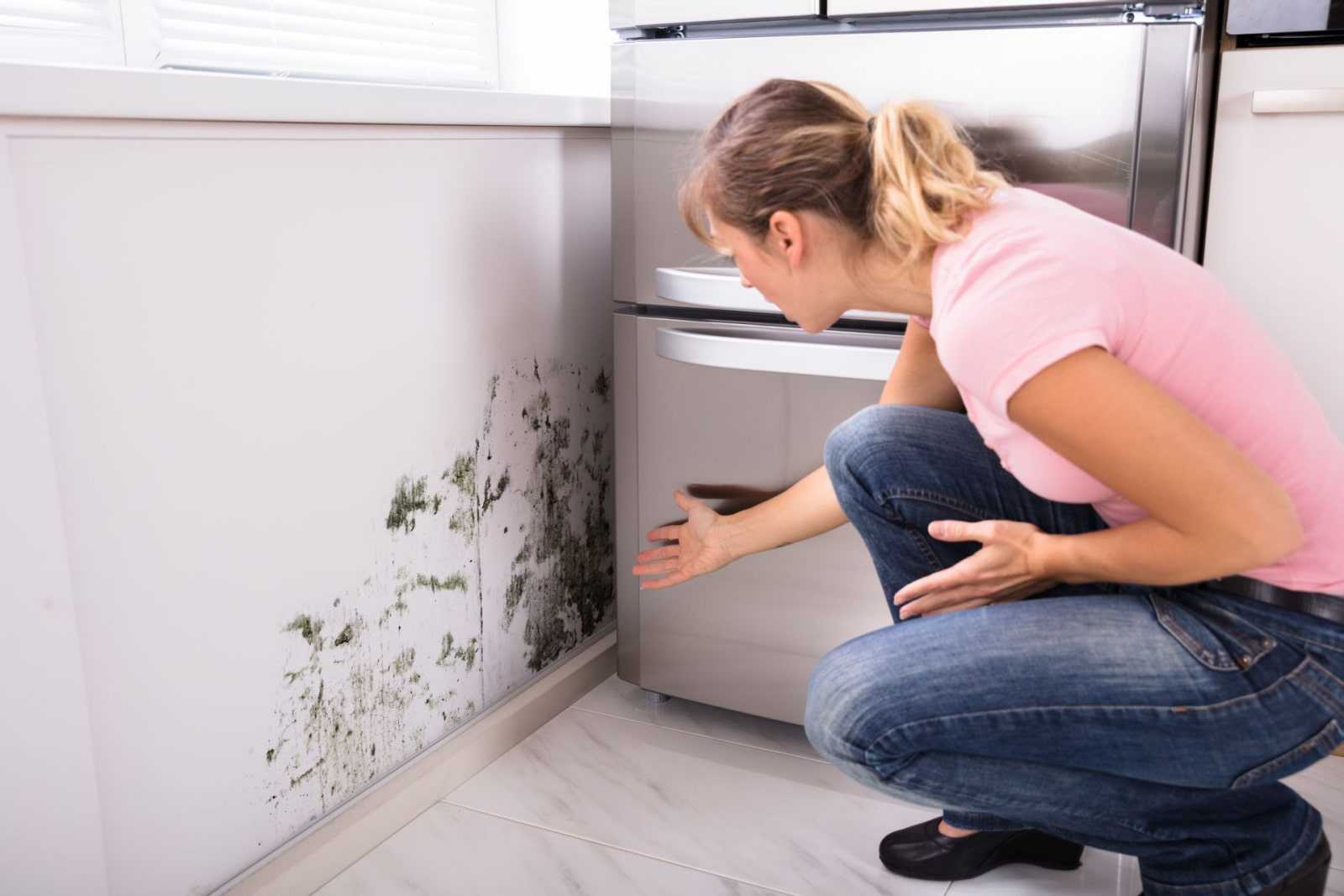 Как избавиться от сырости в квартире? – 10 рабочих способов