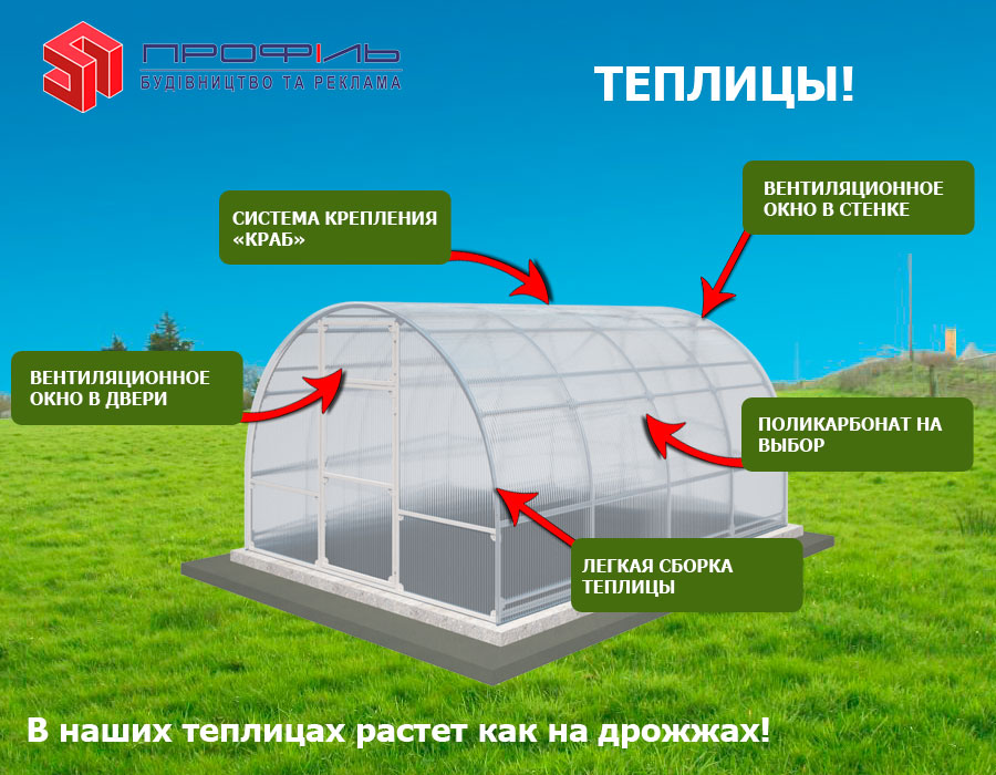 Отзывы о теплице апельсин и ее практичности