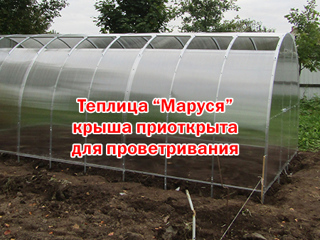 Теплица с раздвижной крышей: парник со сдвижным верхом и дверями отзывы, орион своими руками, производитель презента