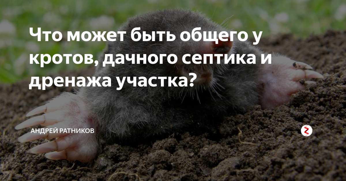 Обзор септиков “крот”: устройство, достоинства и недостатки, сравнение с конкурентами