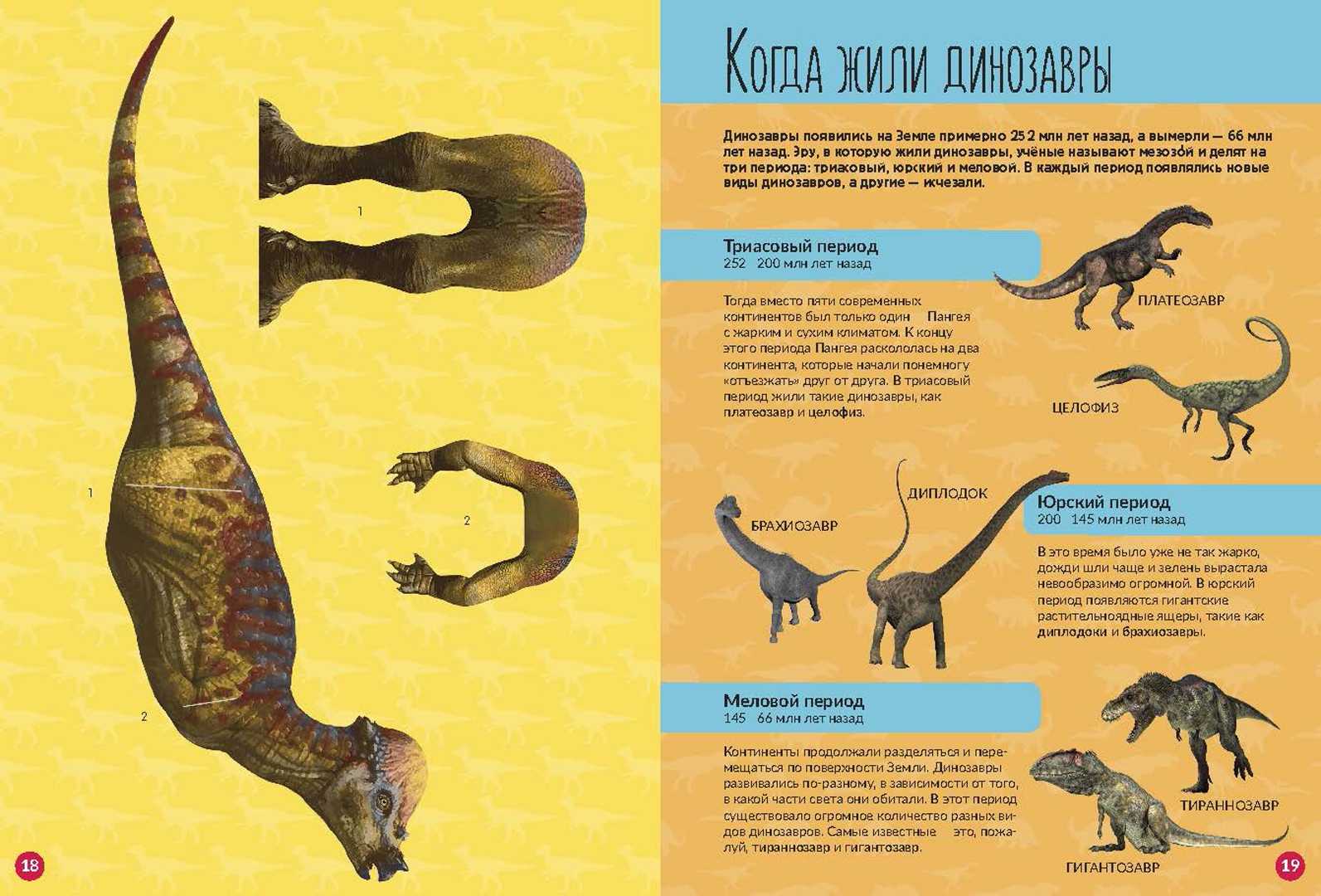 Интересные факты о динозаврах: образ жизни, почему вымерли | интересный сайт