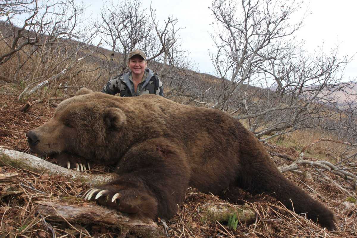 Какие медведи крупнее. Медведь Кадьяк самый большой в мире. Самый большой в мире медведь Гризли.