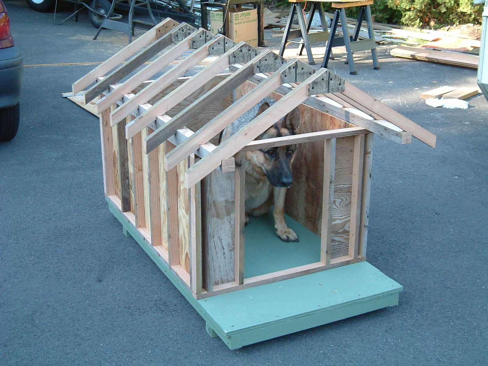 Fallout 4 будка для собаки как построить фото 46